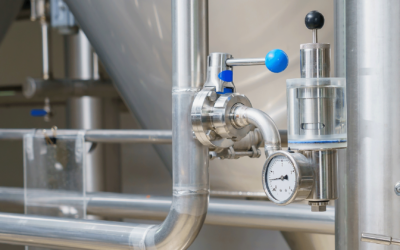 Understanding the Differences Between Sanitary Strainers and Sanitary Filters