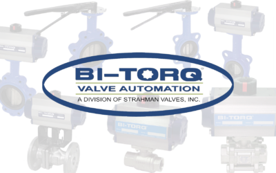 Why BI-TORQ® Valves Stand Out Among Other Valve Options